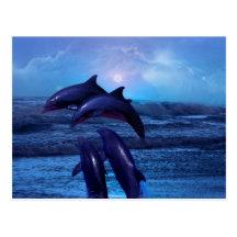 Dolphins playing in the ocean post cards