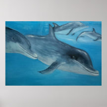 Dolphins - Pod Print