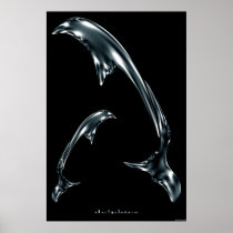 dolphins posters