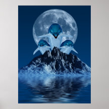 Dolphins Poster