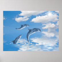 Dolphins Poster