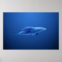 Dolphins Print