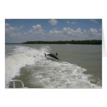 Dolphins surfing in the wake of the boat greeting card