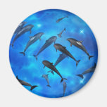 Dolphins swimming in the ocean magnets