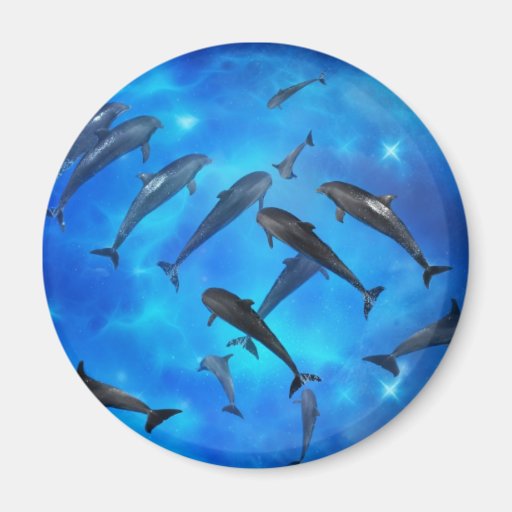 Dolphins swimming in the ocean magnets