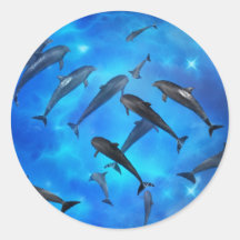 Dolphins swimming in the ocean round stickers