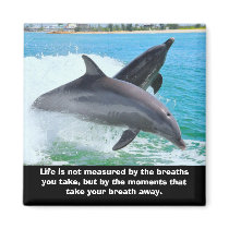Dolphins Take Your Breath Away Magnet magnets