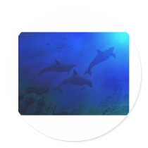 DOLPHINS UNDERWATER STICKERS