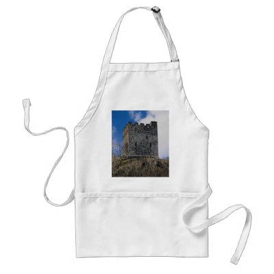 Dolwyddelan Castle, built 1200 by Llewellyn ab lor Apron by beautifulclicks