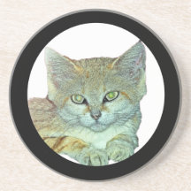 Domestic Cat, Black Background Beverage Coasters