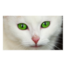 Domestic Cat with Green Eyes Feline Face White Fur Business Card Template