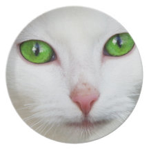 Domestic Cat with Green Eyes Feline Face White Fur Party Plates