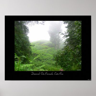 Dominical, Osa Peninsula, Costa Rica by ksully913