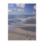 Dominican Republic, Caribbean, Punta Cana, 4 Postcards