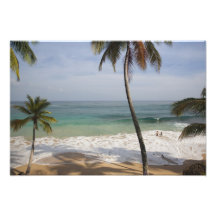 Dominican Republic, North Coast, Abreu, Playa 3 Photograph