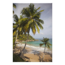 Dominican Republic, North Coast, Abreu, Playa
