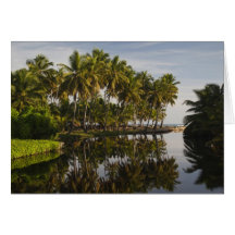 Dominican Republic, North Coast, Nagua, Playa Greeting Card