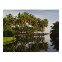 Dominican Republic, North Coast, Nagua, Playa Postcard