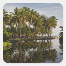 Dominican Republic, North Coast, Nagua, Playa Stickers