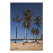 Dominican Republic, Punta Cana Region, El