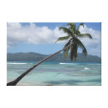 Dominican Republic, Samana Gallery Wrap Canvas
