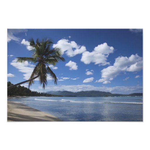 Dominican Republic, Samana Peninsula, Las 4 Photo Art