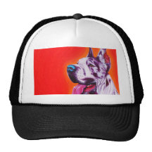 domino mesh hats