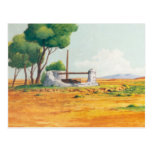 DON QUIXOTE ANIMATION BACKGROUND POSTCARD