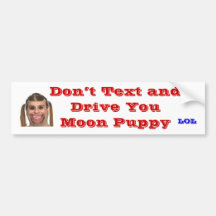 Don’t Text and Drive You Moon Puppy Bumper Sticker