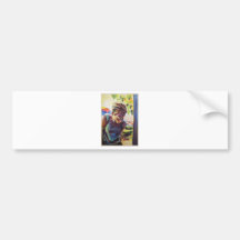 Donatell Bumper Sticker