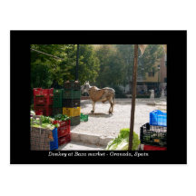 Donkey at Baza market - Granada, Spain Postcards