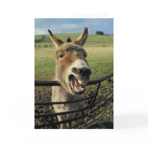 Donkey Greeting Cards