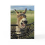 Donkey Greeting Cards