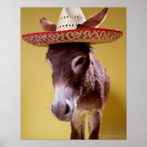 Donkey (Equus hemonius) wearing straw hat Print