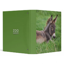 Donkey In The Grass