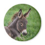 Donkey In The Grass