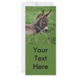 Donkey In The Grass