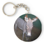 Donkey Keychain