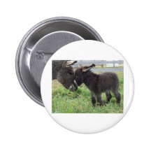 donkey pin