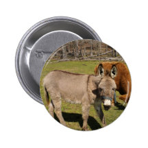 Donkey Pinback Buttons