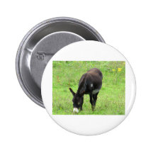 Donkey Pins