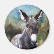 Donkey Portrait Fridge Magnet