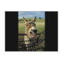 Donkey Postcards