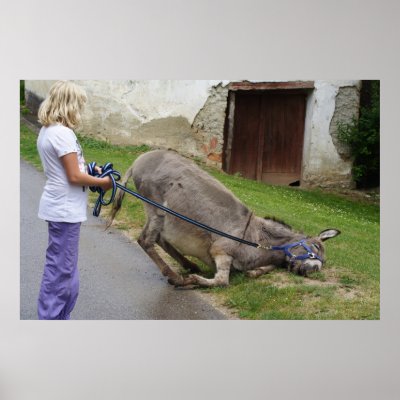 Donkey by EMangl
