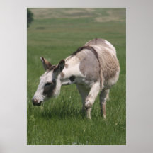 Donkey Print