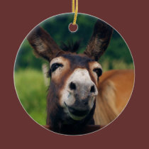 Donkey Smiles For Christmas ornaments
