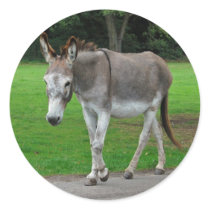 Donkey stickers
