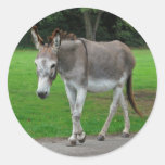 Donkey stickers