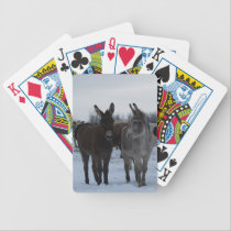 Donkey's in The Snow playing cards