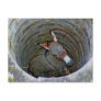 Donkeywell postcard